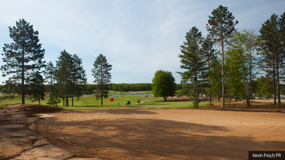 Forest Dunes