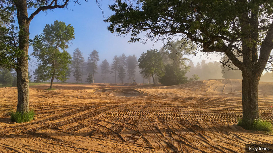 Forest Dunes