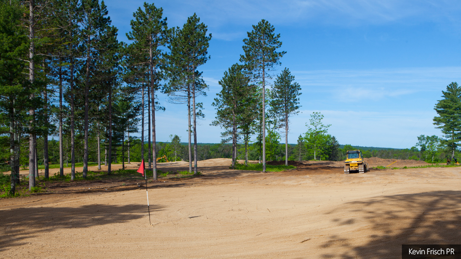 Forest Dunes