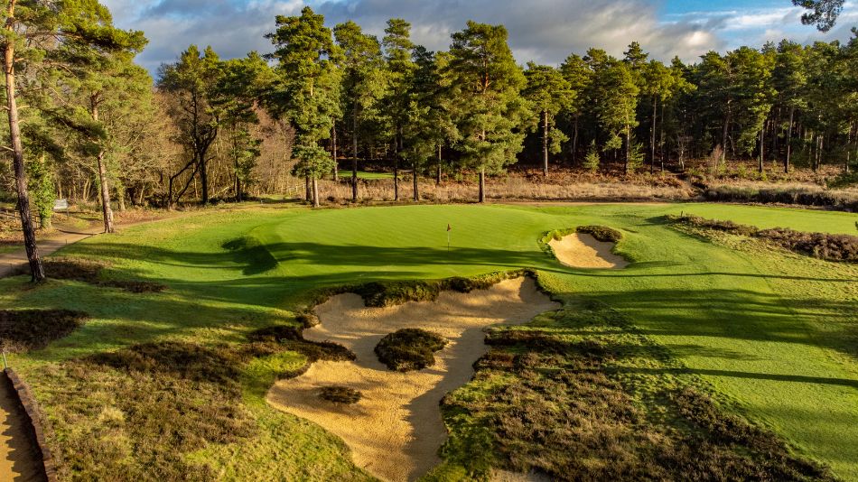 Hankley Common