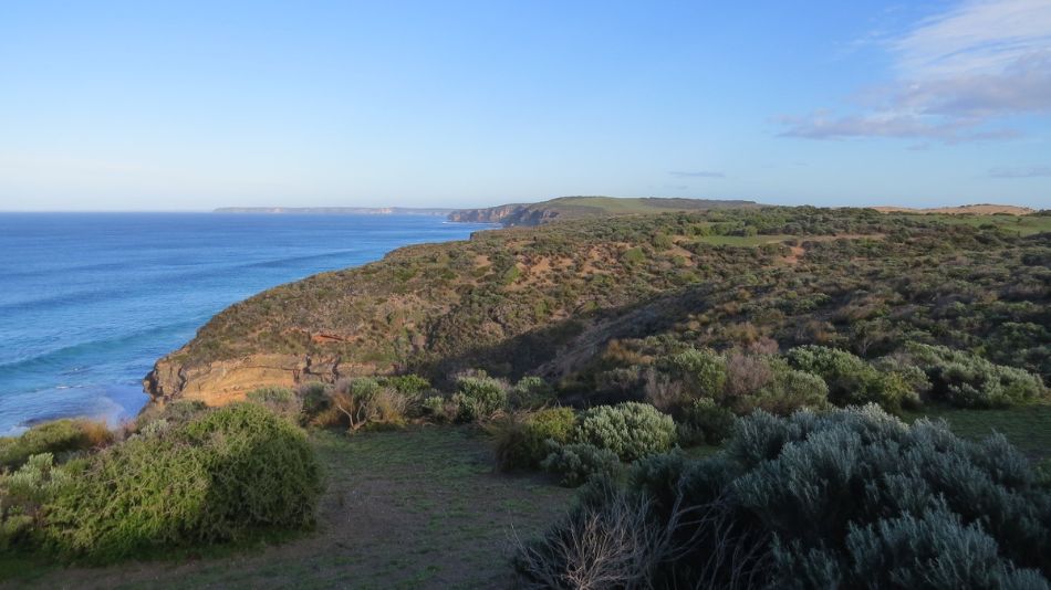 Cliffs Kangaroo