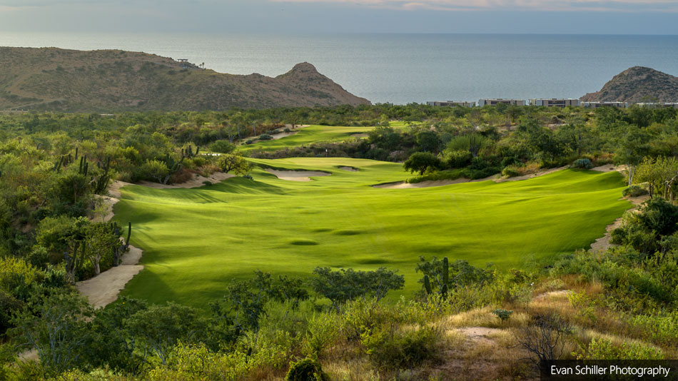 Twin Dolphin Golf Club Natural selection