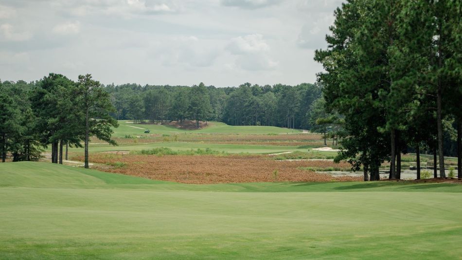 Pinehurst No.8