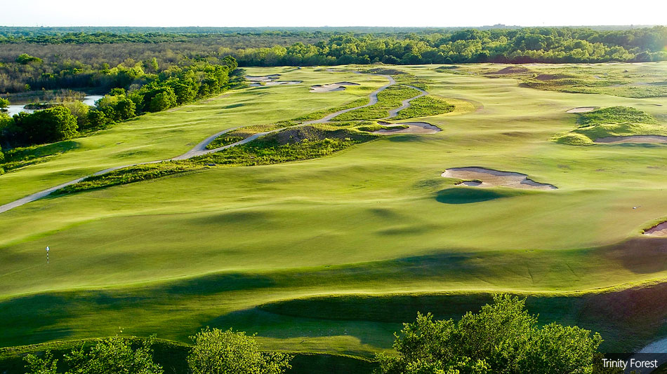 Trinity Forest