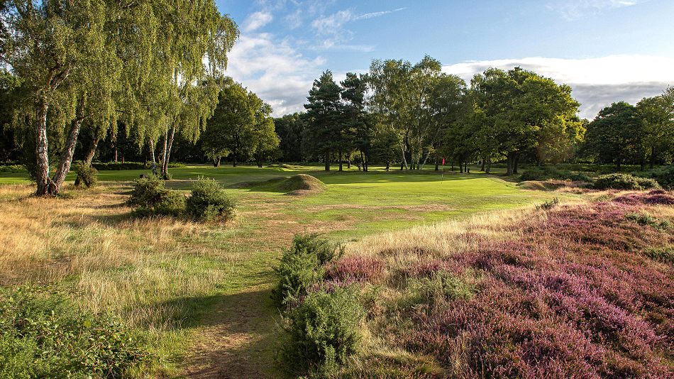 Berkhamsted heather